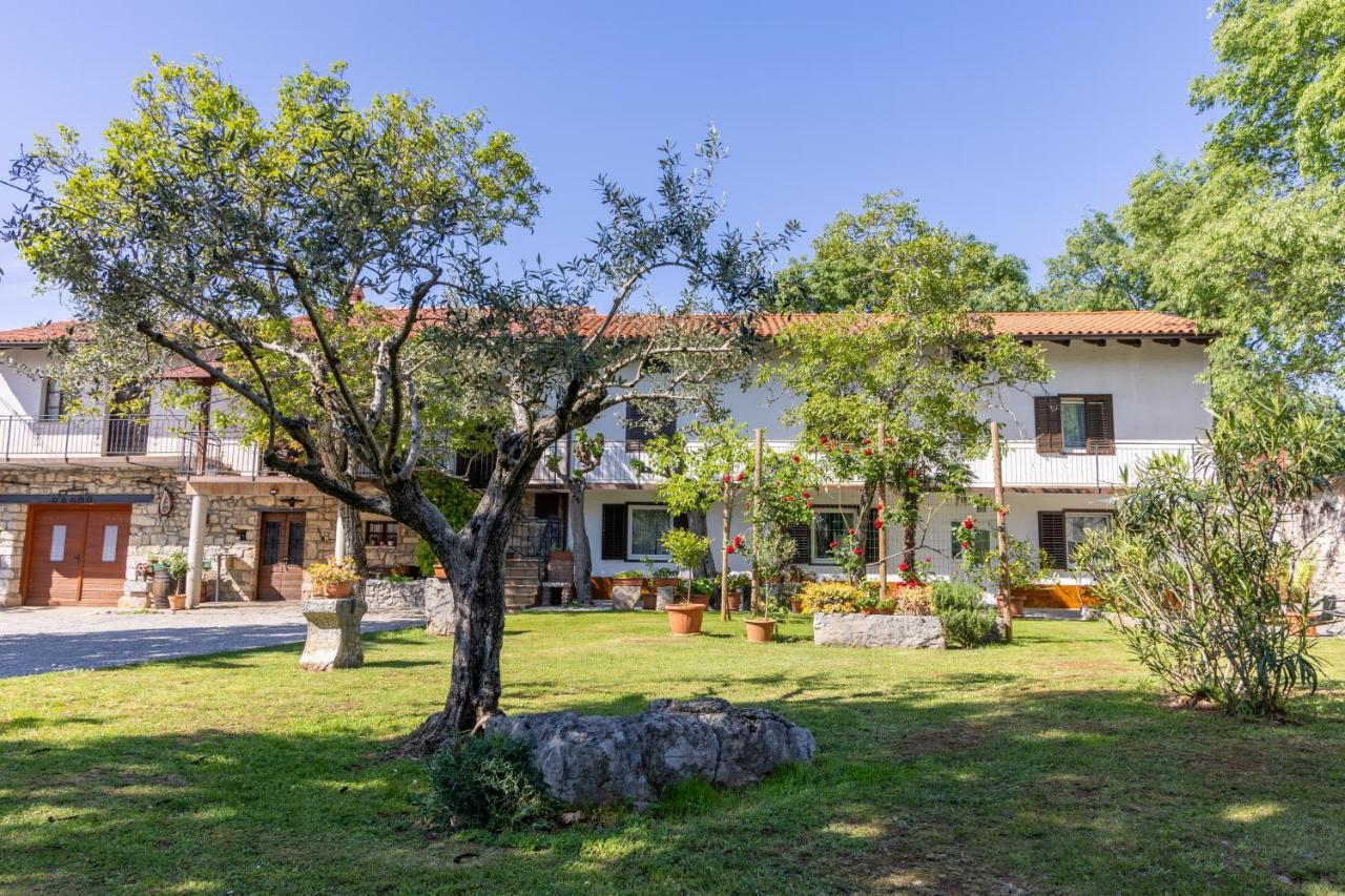 Domacija Mirko Bed and Breakfast Miren Εξωτερικό φωτογραφία